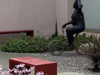 Renovacion-en-el-jardin-interior-de-esculturas-01