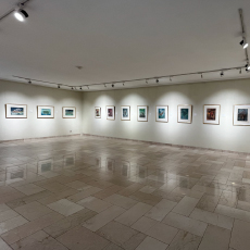 Grandes Maestros Argentinos